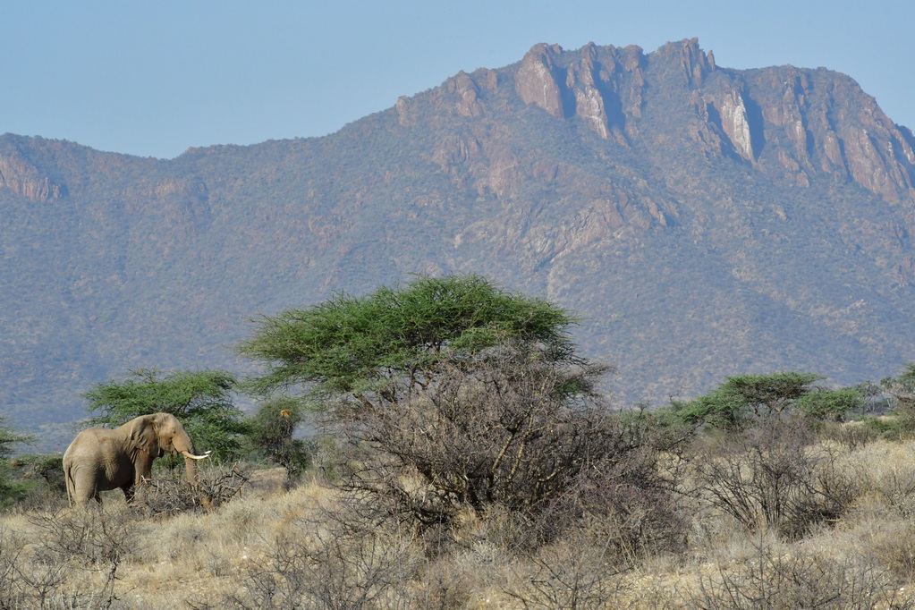 Samburu Nat. Resserve